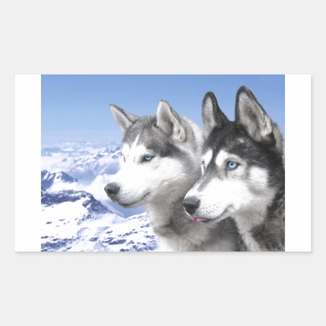 Adesivo Retangular Huskies Siberianos (Frente)