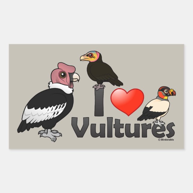 Adesivo Retangular I Love Vultures (América do Sul) (Frente)