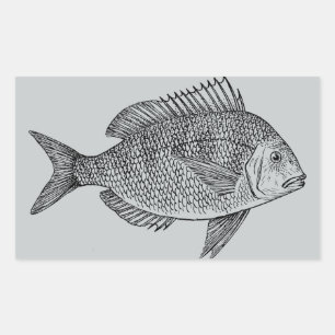 Adesivo Retangular Ilustração de arte marinha náutica de peixes de vi