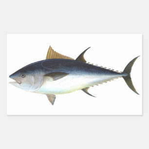 Adesivo Retangular Ilustração do atum de Bluefin