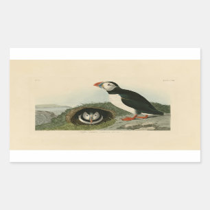 Adesivo Retangular Ilustração Vintage Puffin