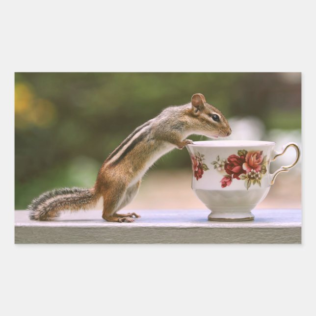 Adesivo Retangular Imagem de Chipmunk com o China Teacup (Frente)