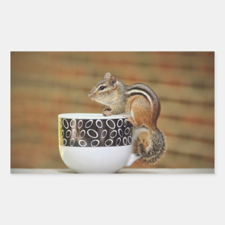 Adesivo Retangular Imagem de Chipmunk com Taça de Café Latte