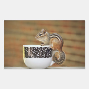 Adesivo Retangular Imagem do Chipmunk com o copo de café de Latte