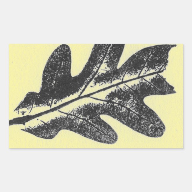 Adesivo Retangular Imagens tiradas do impressão de folha de folha de  (Frente)