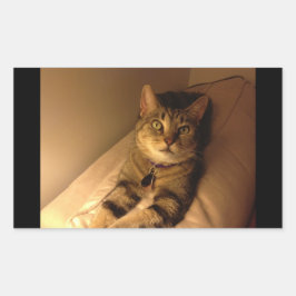 Adesivo Retangular Indigo Model Pose