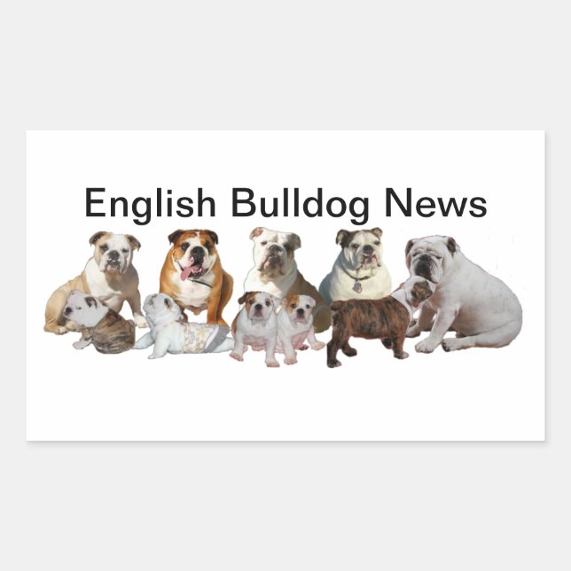Adesivo Retangular Inglês Bulldog News (Frente)
