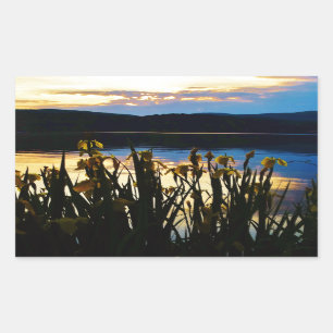 Adesivo Retangular Íris Amarelo no lago da margem