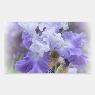 Adesivo Retangular Íris farpada régia - roxo & branco