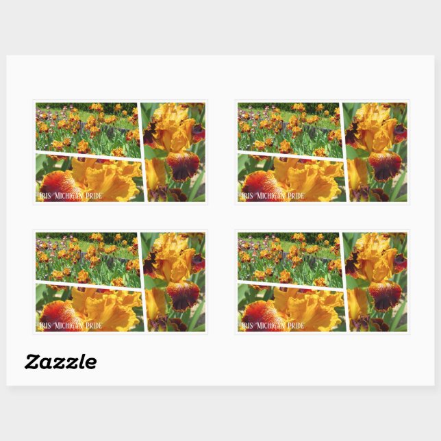 Adesivo Retangular Iris "Rectangteral" 長 方 形 Michigan ル (Folha)