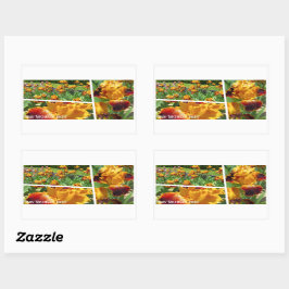 Adesivo Retangular Iris "Rectangteral" 長 方 形 Michigan ル