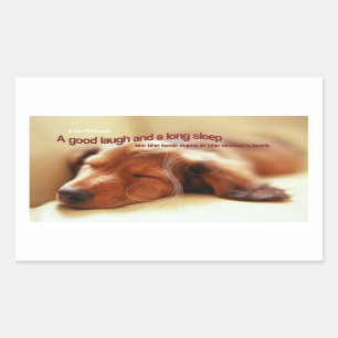 Adesivo Retangular Irlandês Proverb e Cão Dormindo
