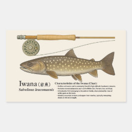 Adesivo Retangular Iwana (Salvelinus leucomaenis) – Ilustração em ing