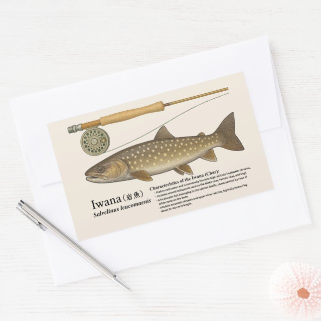 Adesivo Retangular Iwana (Salvelinus leucomaenis) – Ilustração em ing (Envelope)