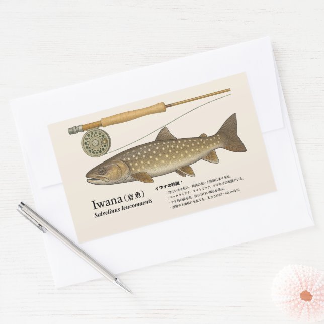 Adesivo Retangular Iwana (Salvelinus leucomaenis) – Japanese Illust (Envelope)