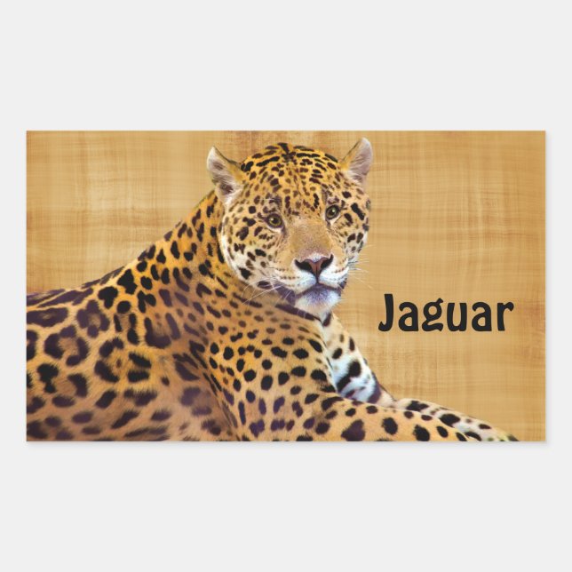 Adesivo Retangular Jaguar Grande Gato-amante #Gift (Frente)