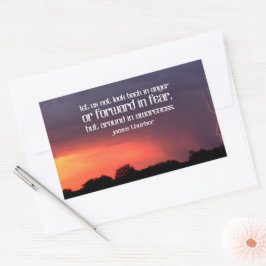 Adesivo Retangular James Thurber Inspirational Cotação "Conscientizaç