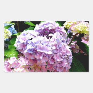 Adesivo Retangular Jardim Hydrangea, rosa, azul, floral roxo