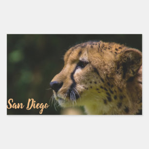 Adesivo Retangular Jardim zoológico de San Diego