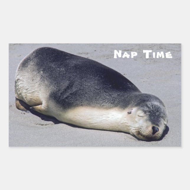 Adesivo Retangular Jovem foca dormindo na praia - Austrália (Frente)