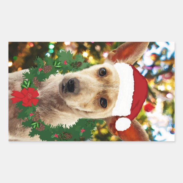 Adesivo Retangular Joy para o Puppy (Frente)