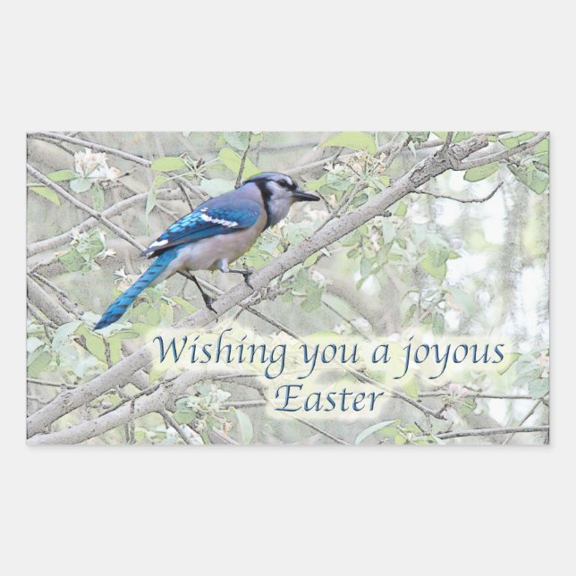 Adesivo Retangular Joyous Páscoa Blue Jay Songbird (Frente)