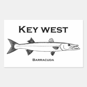 Adesivo Retangular Key West Barracuda