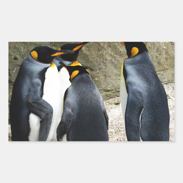 Adesivo Retangular King Penguin (Frente)