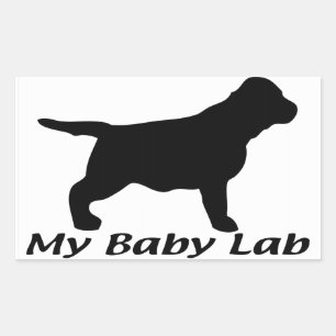 Adesivo Retangular Labrador Retriever