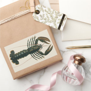 Adesivo Retangular Lagostas Marinhas Antigas Vida Marinha Crustáceo