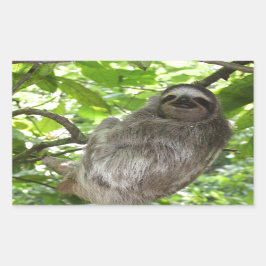 Adesivo Retangular Lama relaxada na natureza