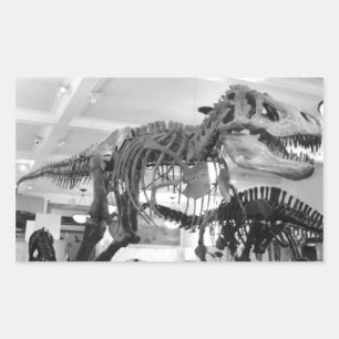 Adesivo Retangular Lápis do esqueleto de T-Rex