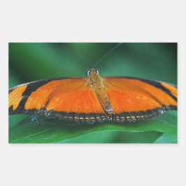 Adesivo Retangular Laranja Brilhante e Borboleta Negra em Folha