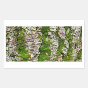 Adesivo Retangular Latido de pinheiro com musgo