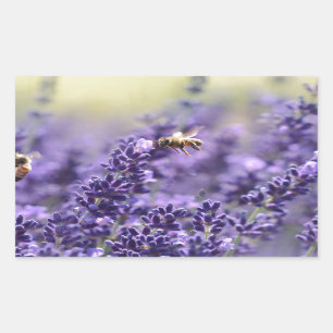 Adesivo Retangular Lavanda de Primavera com abelha plana