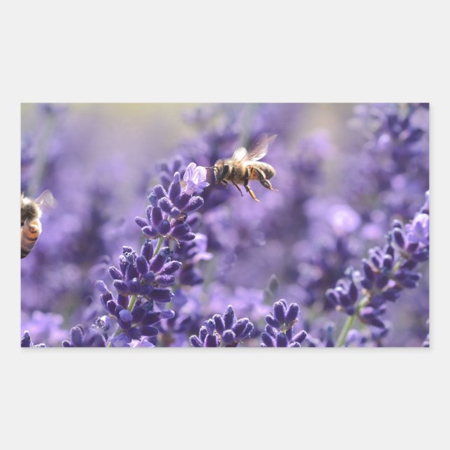 Adesivo Retangular Lavanda de Primavera com Abelhas Floral Roxa (Frente)
