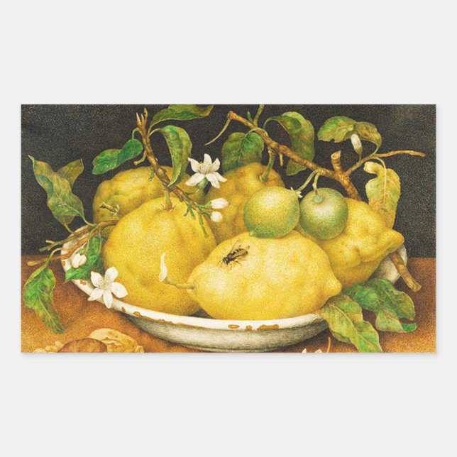 ADESIVO RETANGULAR LEMÕES FRUTAS DA SEASON E FLORES BRANCOS (Frente)