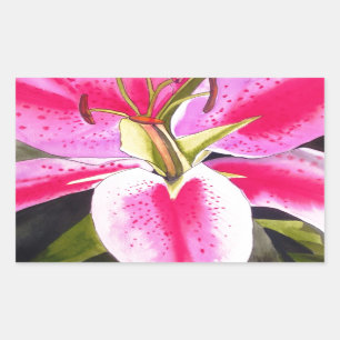 Adesivo Retangular Lily rosa quente Tenerife pop art flor de aquarela