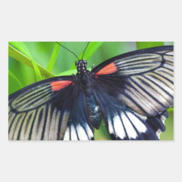 Adesivo Retangular Linda borboleta negra, branca e vermelha