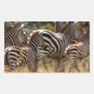 Adesivo Retangular Linda e espantosa Arte Impressa Animal Zebra Afric