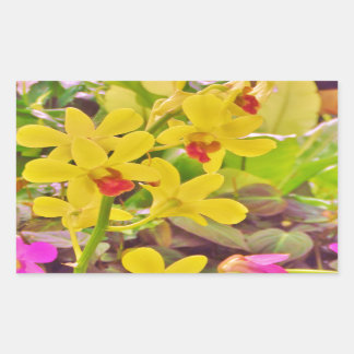 Adesivo Retangular Lindas orquídeas de outono amarelas