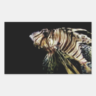 Adesivo Retangular Lionfish