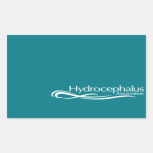 Adesivo Retangular Logotipo da Associação Hidrocephalus
