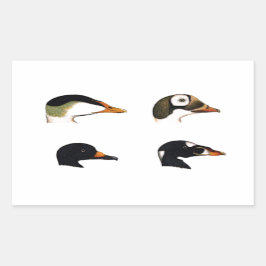 Adesivo Retangular Logotipo dos Patos do Mar