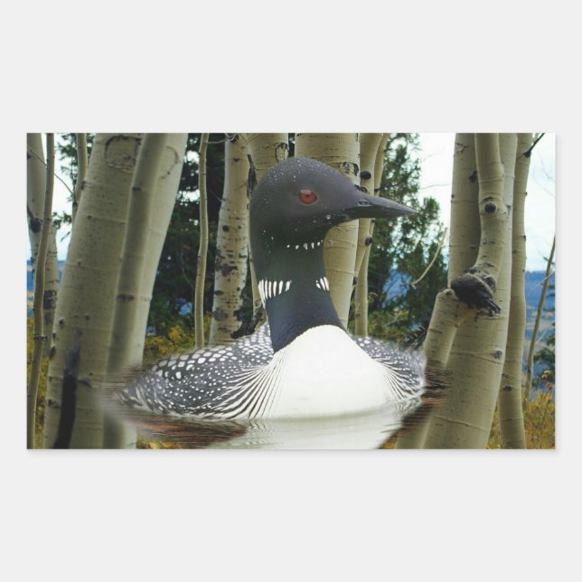 Adesivo Retangular Loon Wilderness (Frente)