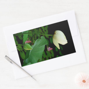 Adesivo Retangular Lotus Water Lily