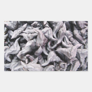 Adesivo Retangular Loucos de Buffalo - Caltrop Água