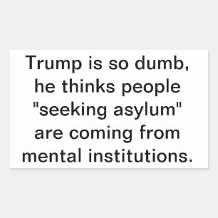 Adesivo Retangular Loucuras de Trump Erros Refugiados Hankamer Artju