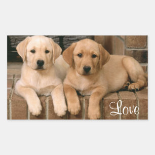Adesivo Retangular Love Labrador Retriever Puppies Sticker