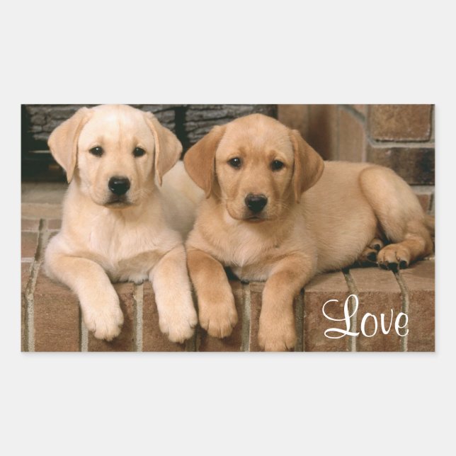 Adesivo Retangular Love Labrador Retriever Puppies Sticker (Frente)